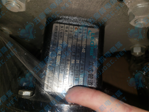 密码保护：利欧立式管道泵LPP40-31-4/2实拍配件数据照片参数-保定市安德优安装维修售后服务记录