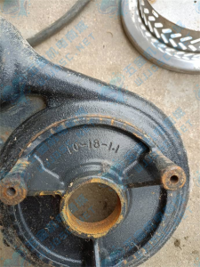 密码保护：利欧小型潜水电泵QDX10-18-1.1实拍配件数据照片参数-保定市安德优安装维修售后服务记录