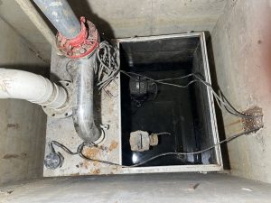 密码保护：【2025-3-20】保定秀兰绿荫里小区西区负二地下室上海东方泵业污水提升器维修记录-保定市安德优安装维修售后服务记录