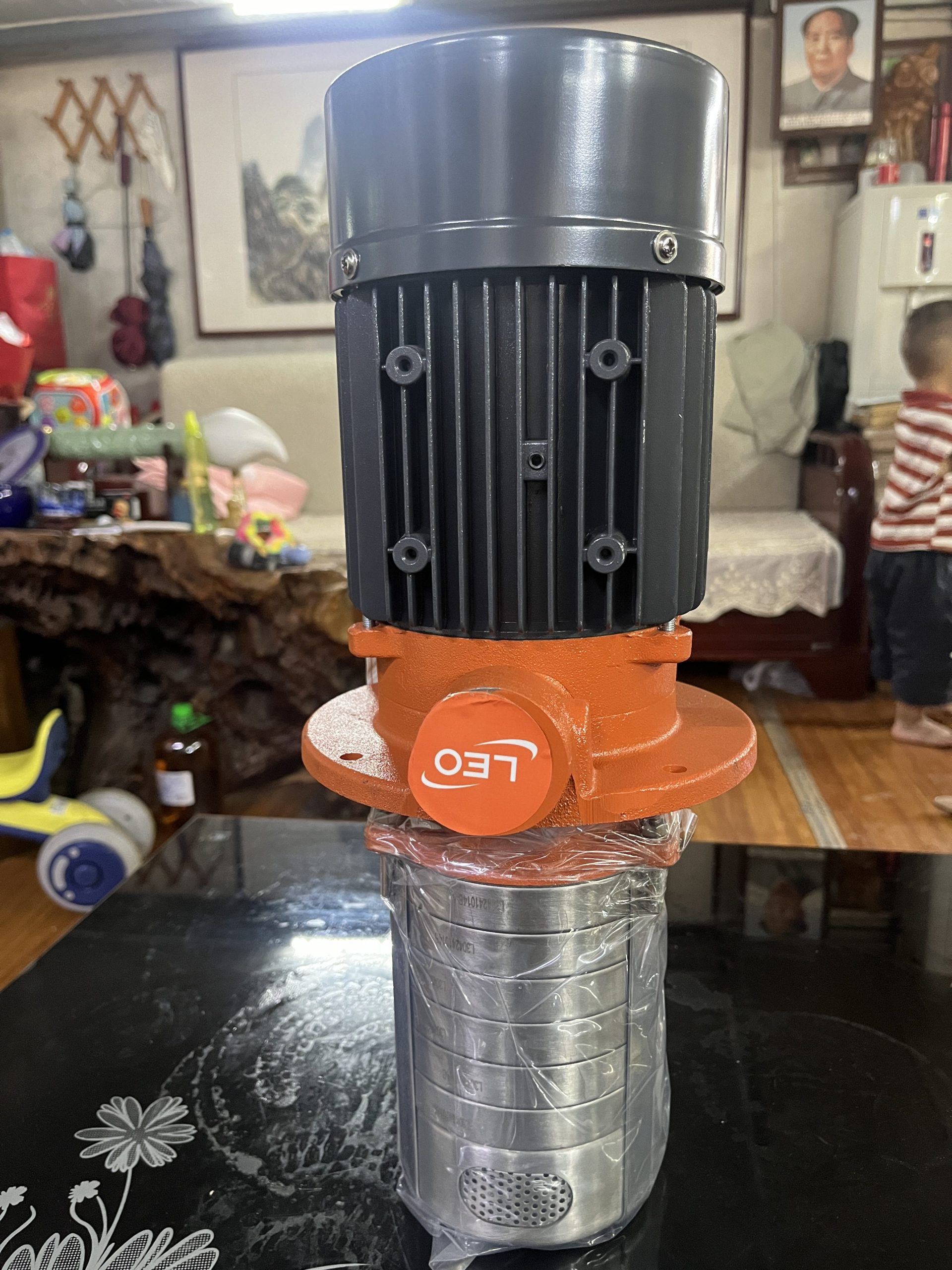 利欧浸入式多级离心泵LIC4-60/6实拍配件数据照片参数-保定市安德优安装维修售后服务记录