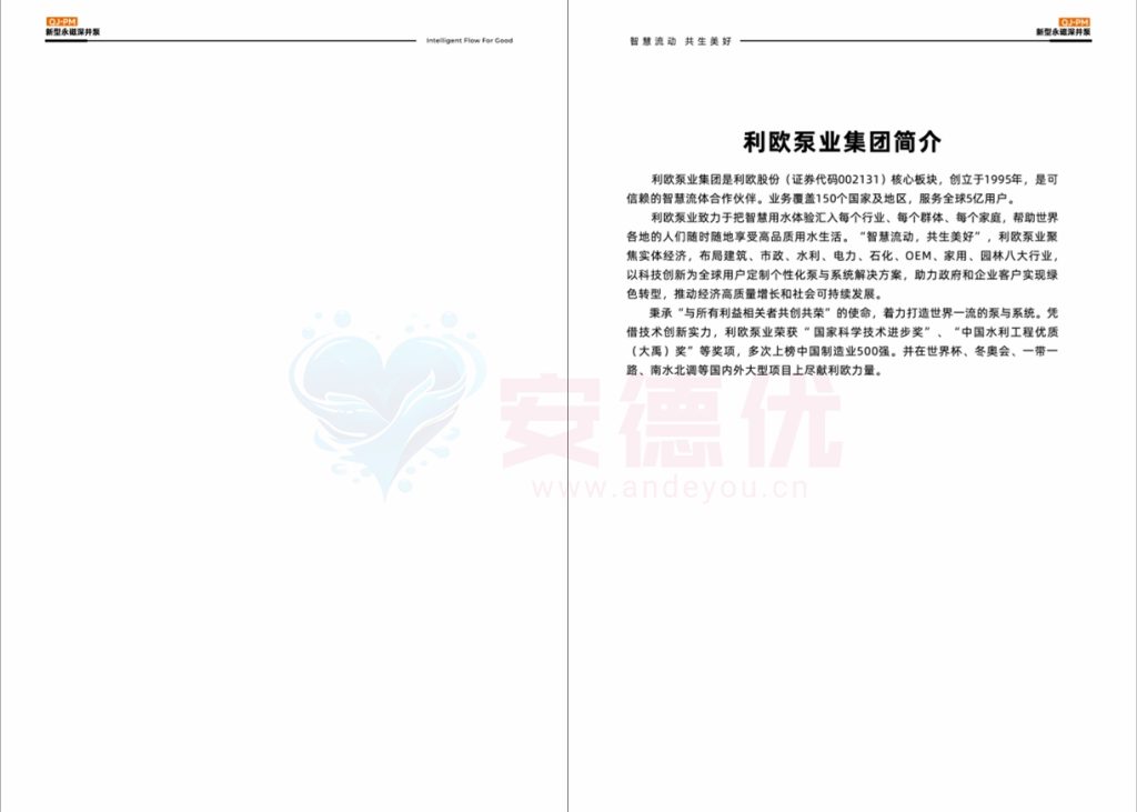 图片[2]-利欧水泵QJ-PM永磁变频深井泵使用说明书-保定市安德优安装维修售后服务记录